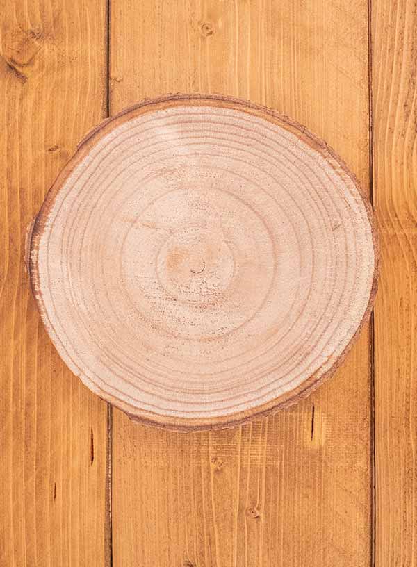 Produktdetailbild_Baumscheibe_23cm_800x616px_1