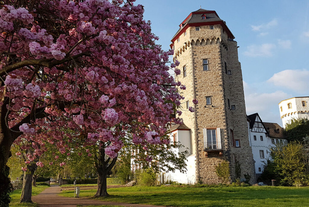 Martinsschloss_Lahnstein_1_1300x870px