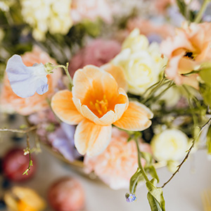 CheckUp_Bubble_1_cb-events_hochzeitsplanung_koblenz_eventschmiede